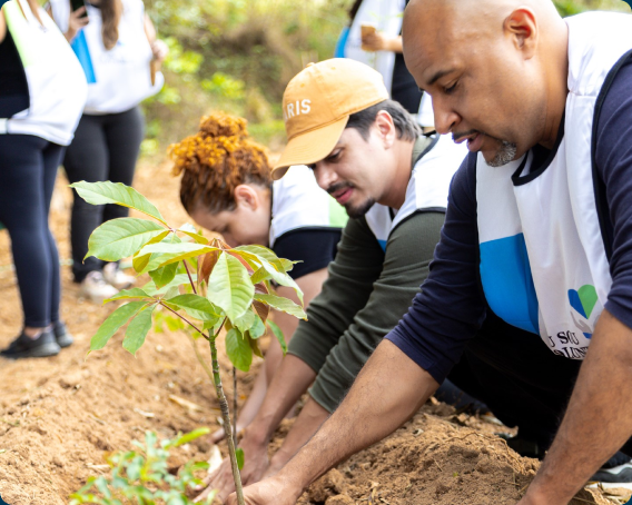 Chapter 1:  Sustainability in the New Frontier
